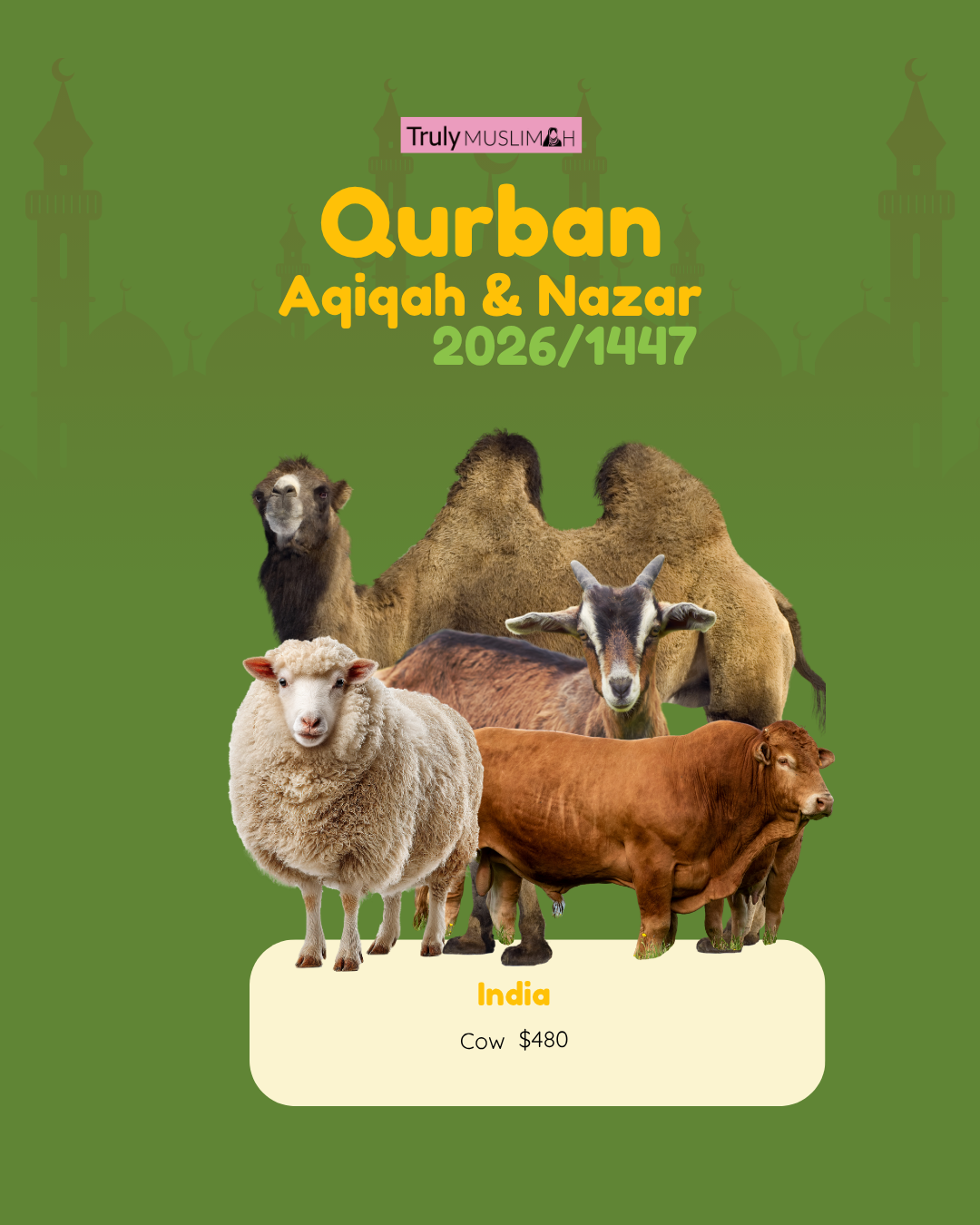 Véritable Qurban 2025